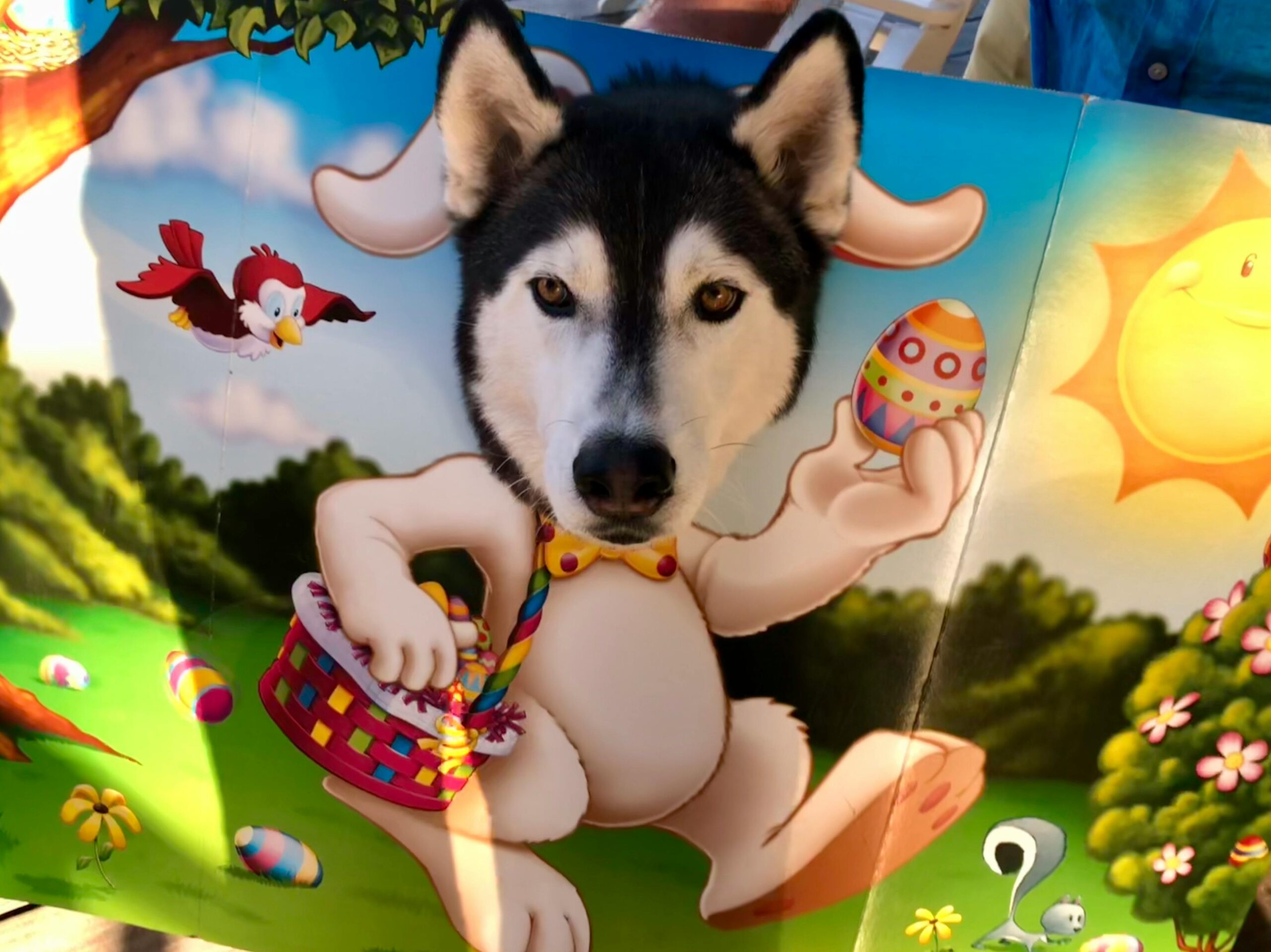 Easter Gifts for Dog Owners: Top 10 Ideas to Spoil Your Pup