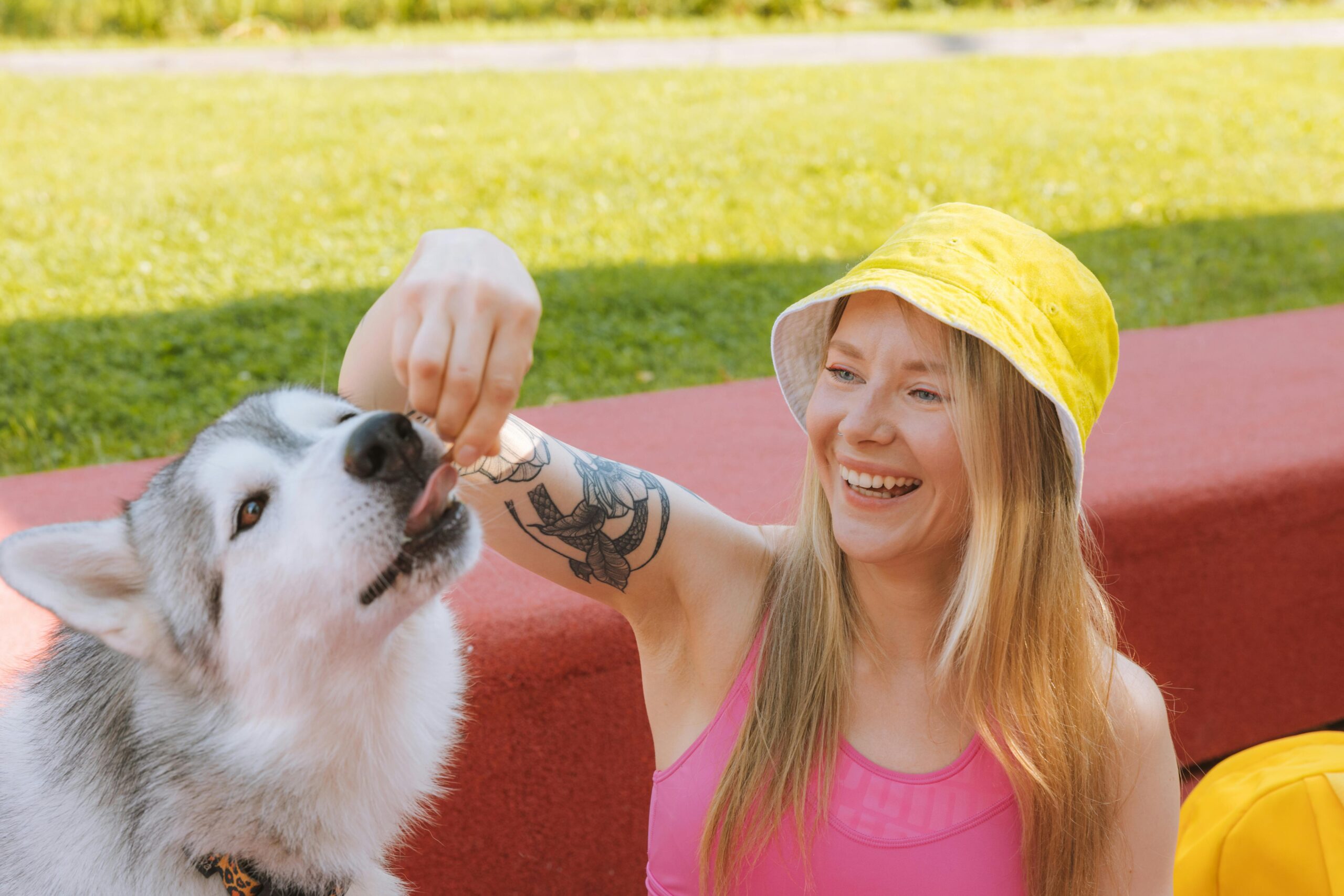 Dog Feeding Schedule and Nutrition: Expert Tips for Pet Owners
